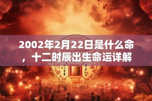2002年2月22日是什么命，十二时辰出生命运详解