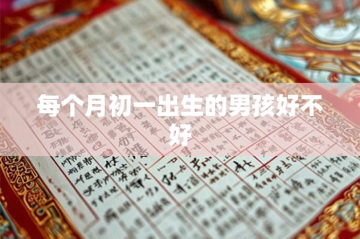 每个月初一出生的男孩好不好