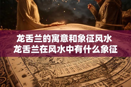 龙舌兰的寓意和象征风水 龙舌兰在风水中有什么象征和寓意