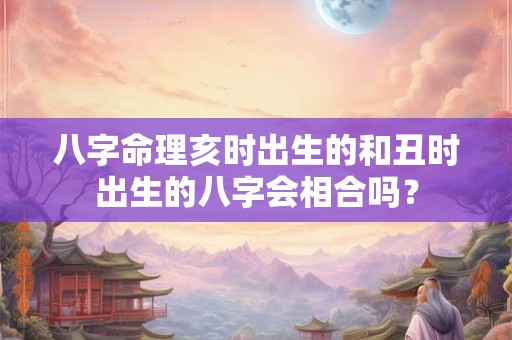 八字命理亥时出生的和丑时出生的八字会相合吗？