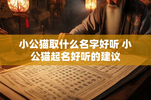 小公猫取什么名字好听 小公猫起名好听的建议