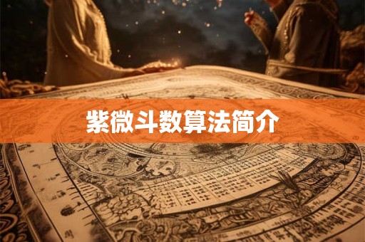 紫微斗数算法简介