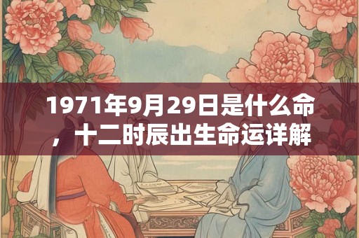 1971年9月29日是什么命，十二时辰出生命运详解