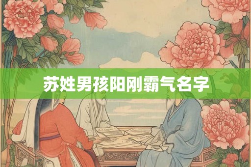 苏姓男孩阳刚霸气名字