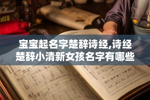 宝宝起名字楚辞诗经,诗经楚辞小清新女孩名字有哪些？