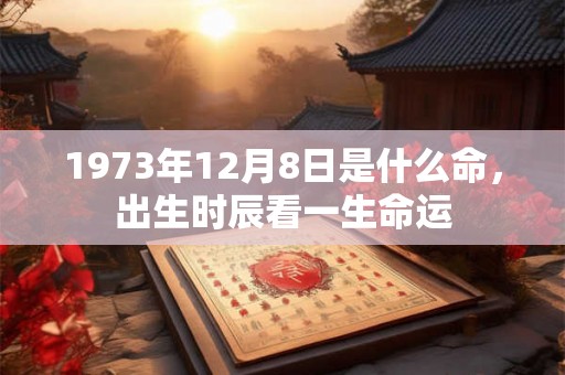 1973年12月8日是什么命，出生时辰看一生命运