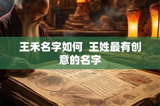 王禾名字如何  王姓最有创意的名字