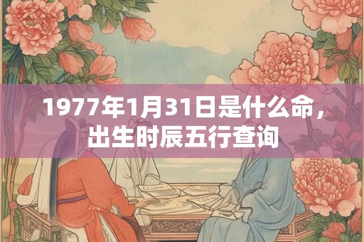 1977年1月31日是什么命，出生时辰五行查询