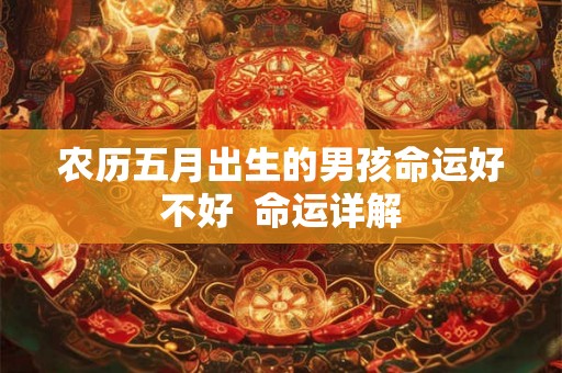 农历五月出生的男孩命运好不好  命运详解
