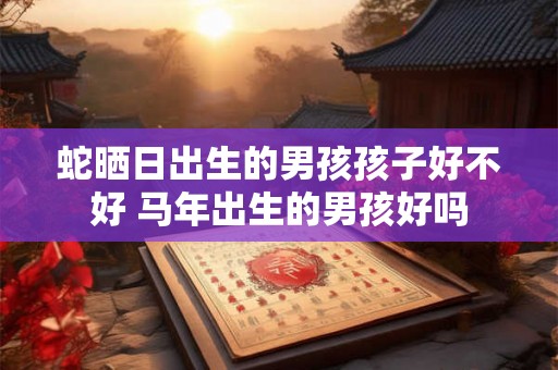 蛇晒日出生的男孩孩子好不好 马年出生的男孩好吗