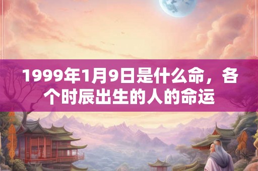 1999年1月9日是什么命，各个时辰出生的人的命运