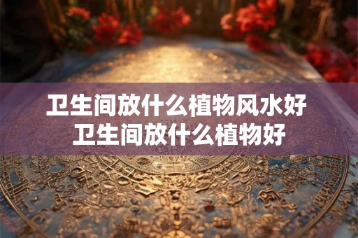 卫生间放什么植物风水好 卫生间放什么植物好 卫生间放什么植物风水好 卫生间放什么植物好
