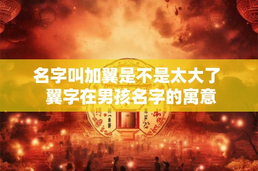 名字叫加翼是不是太大了  翼字在男孩名字的寓意