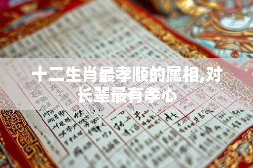 十二生肖最孝顺的属相,对长辈最有孝心 十二生肖最孝顺的属相,对长辈最有孝心