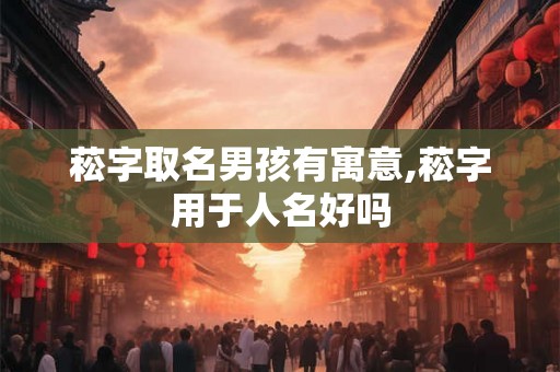 菘字取名男孩有寓意,菘字用于人名好吗