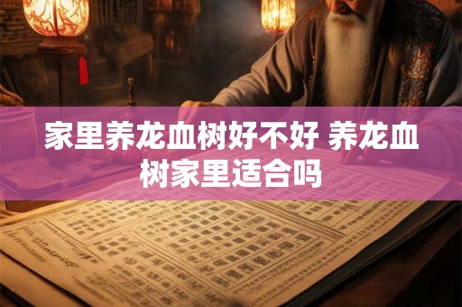 家里养龙血树好不好 养龙血树家里适合吗