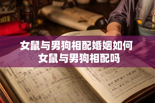 女鼠与男狗相配婚姻如何  女鼠与男狗相配吗