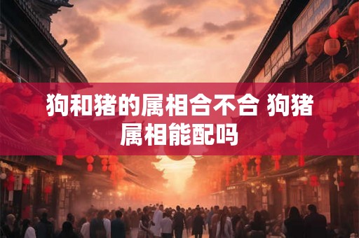 狗和猪的属相合不合 狗猪属相能配吗