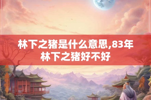 林下之猪是什么意思,83年林下之猪好不好