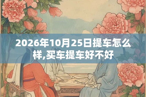 2026年10月25日提车怎么样,买车提车好不好