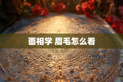 面相学 眉毛怎么看