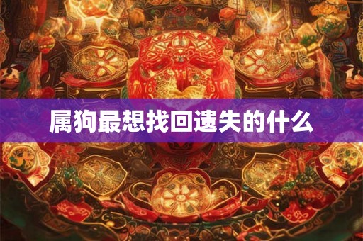 属狗最想找回遗失的什么
