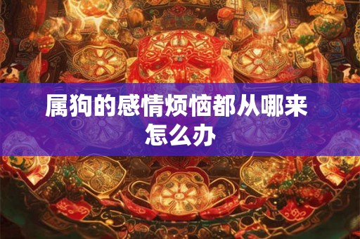 属狗的感情烦恼都从哪来 怎么办