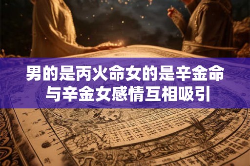 男的是丙火命女的是辛金命 与辛金女感情互相吸引