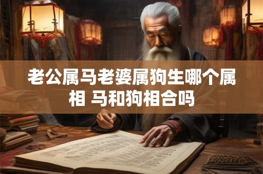老公属马老婆属狗生哪个属相 马和狗相合吗