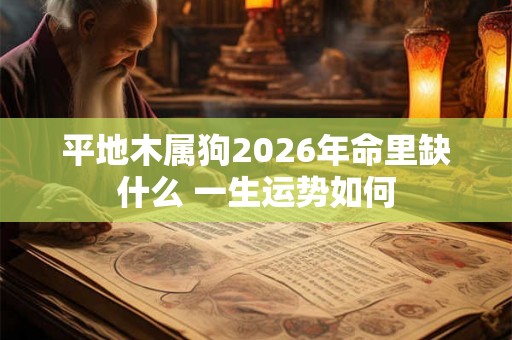 平地木属狗2026年命里缺什么 一生运势如何