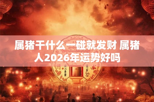 属猪干什么一碰就发财 属猪人2026年运势好吗