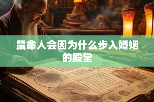 鼠命人会因为什么步入婚姻的殿堂