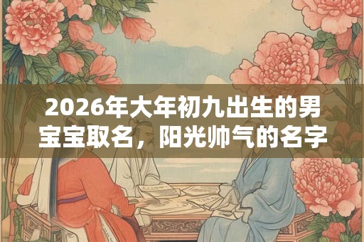2026年大年初九出生的男宝宝取名，阳光帅气的名字精选