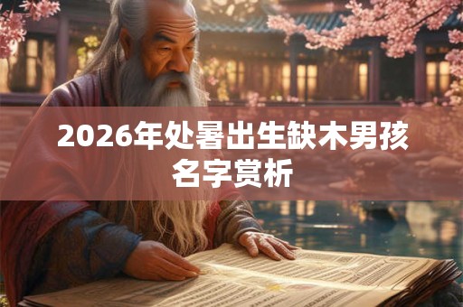 2026年处暑出生缺木男孩名字赏析 2026年处暑出生缺木男孩名字赏析