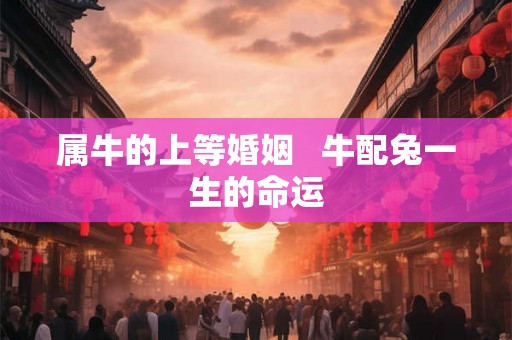 属牛的上等婚姻   牛配兔一生的命运