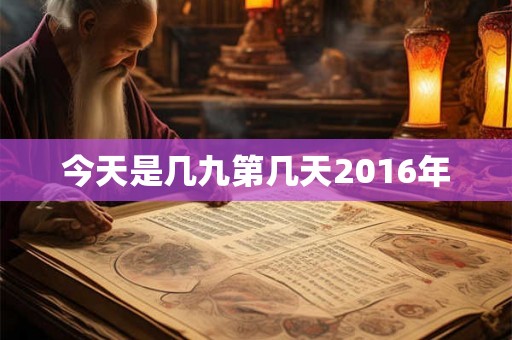 今天是几九第几天2016年