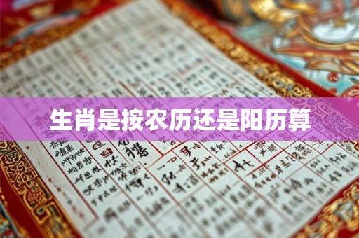 生肖是按农历还是阳历算