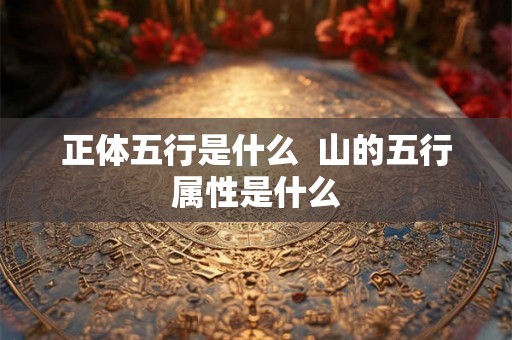 正体五行是什么  山的五行属性是什么