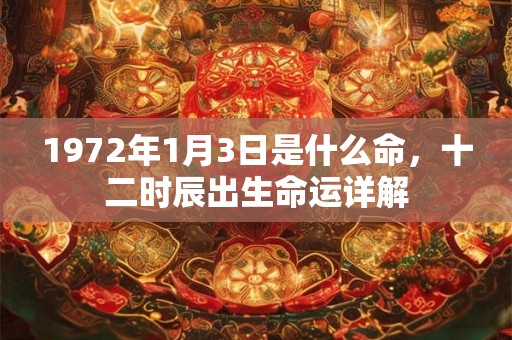 1972年1月3日是什么命，十二时辰出生命运详解