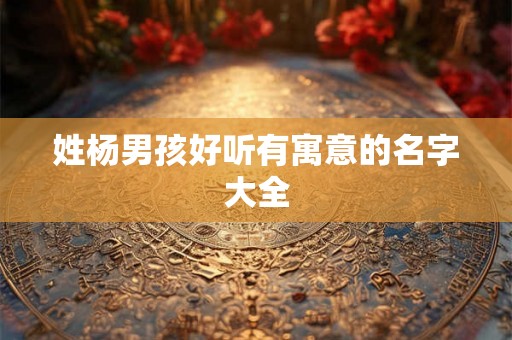 姓杨男孩好听有寓意的名字大全