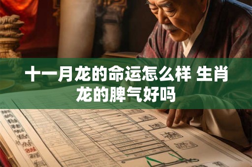 十一月龙的命运怎么样 生肖龙的脾气好吗