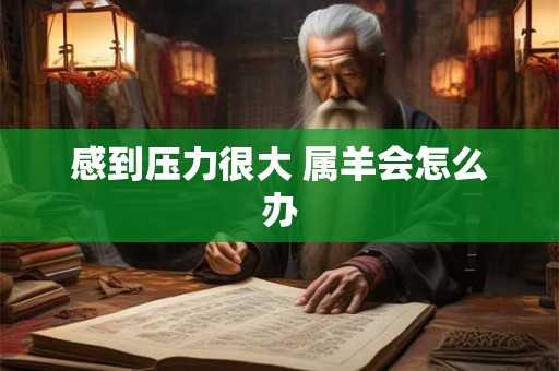 感到压力很大 属羊会怎么办 感到压力很大 属羊会怎么办