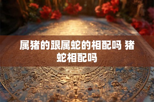 属猪的跟属蛇的相配吗 猪蛇相配吗