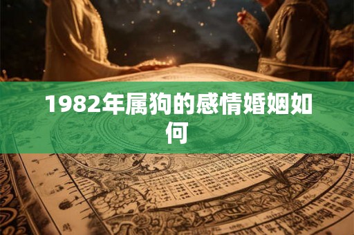 1982年属狗的感情婚姻如何