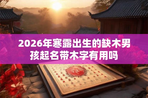 2026年寒露出生的缺木男孩起名带木字有用吗