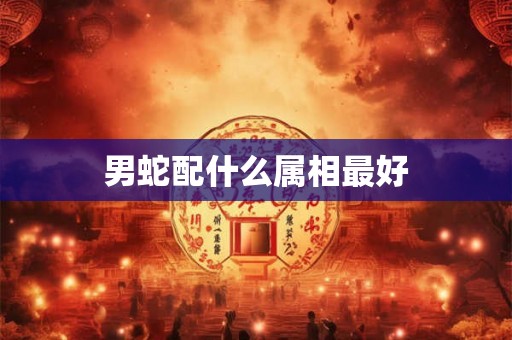男蛇配什么属相最好