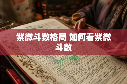 紫微斗数格局 如何看紫微斗数