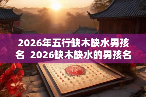 2026年五行缺木缺水男孩名  2026缺木缺水的男孩名字大全