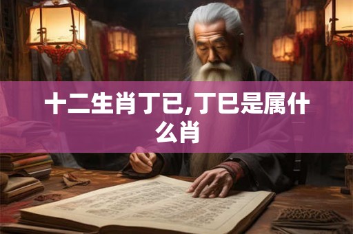 十二生肖丁已,丁巳是属什么肖