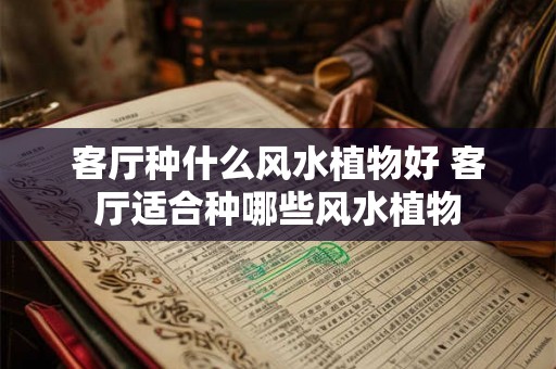 客厅种什么风水植物好 客厅适合种哪些风水植物